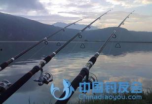 国产白棍断竿视频在线,见证中国制造的力量与匠心