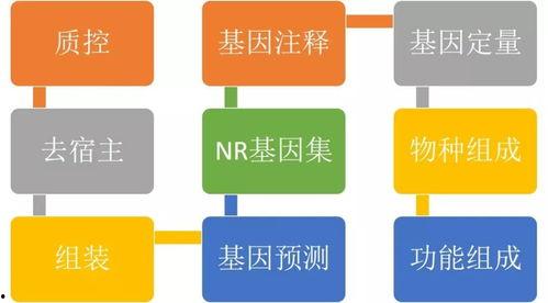 国产柴油车上户流程视频,一视频看懂全部步骤