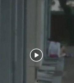 国产野战小树林视频下载